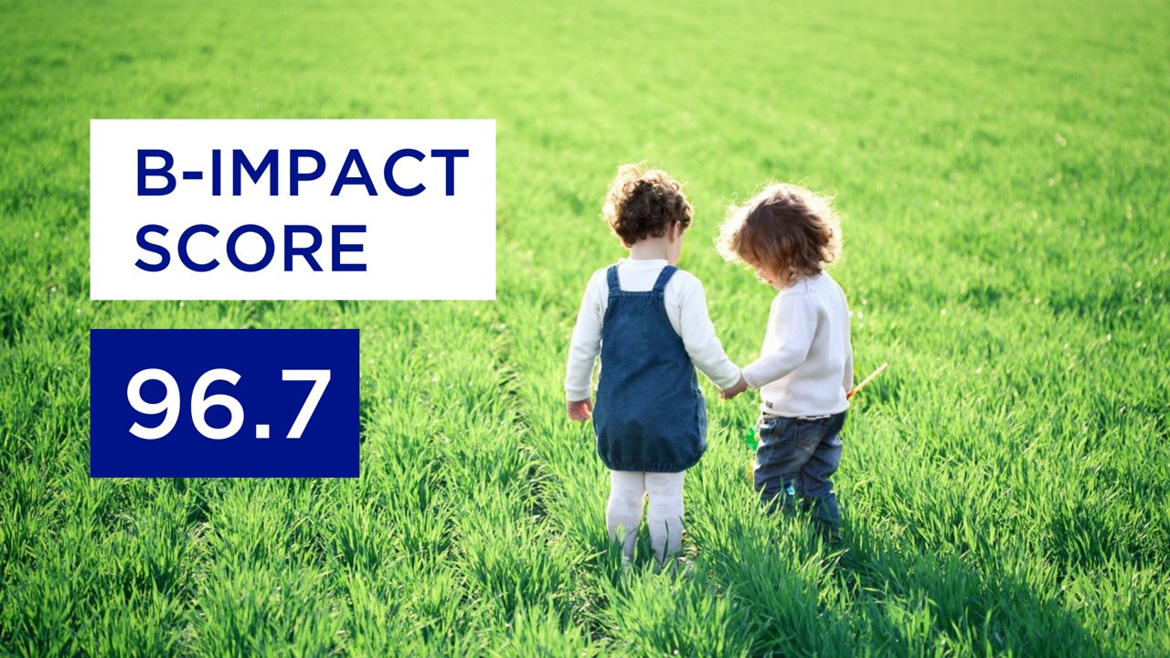 Danone B Corp Impact 