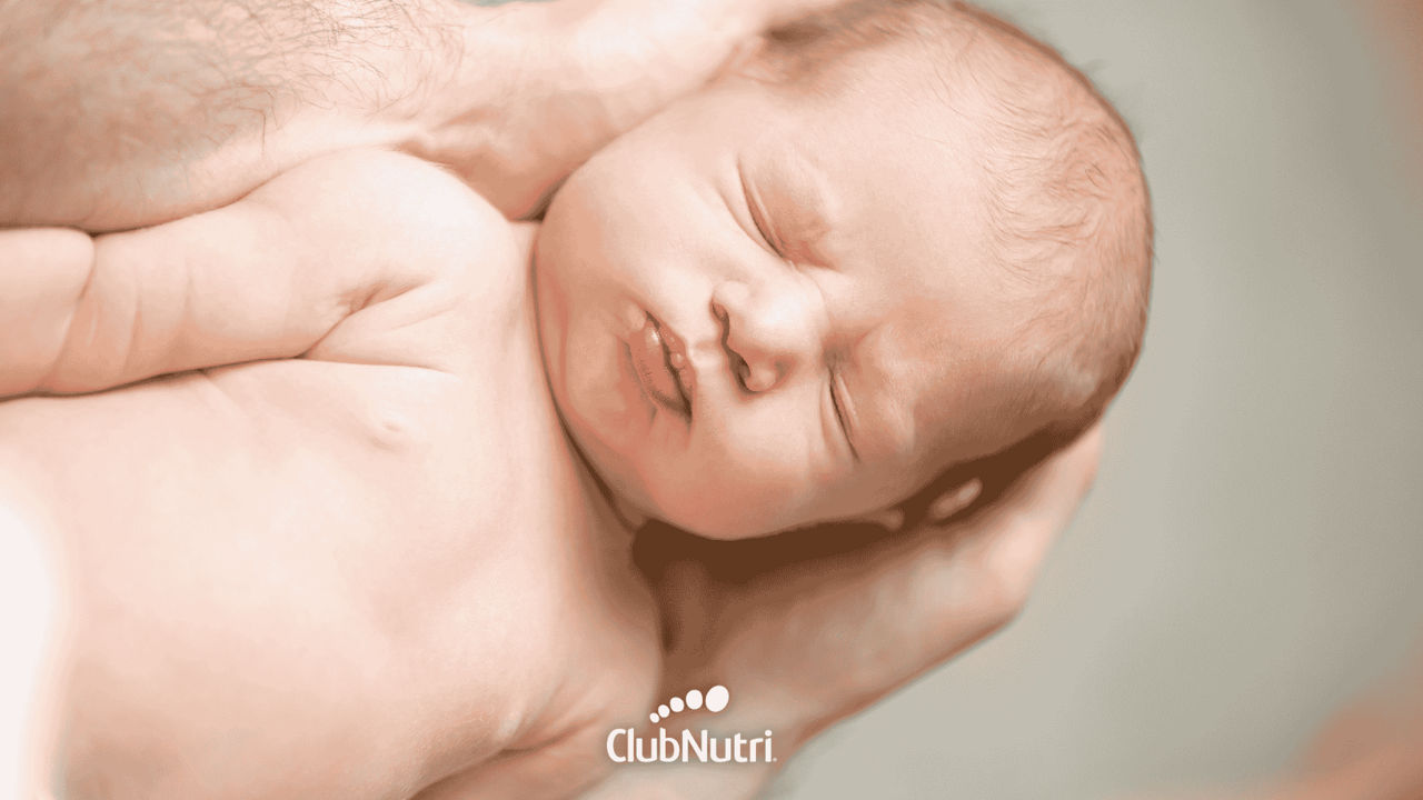 Oysters In Pregnancy