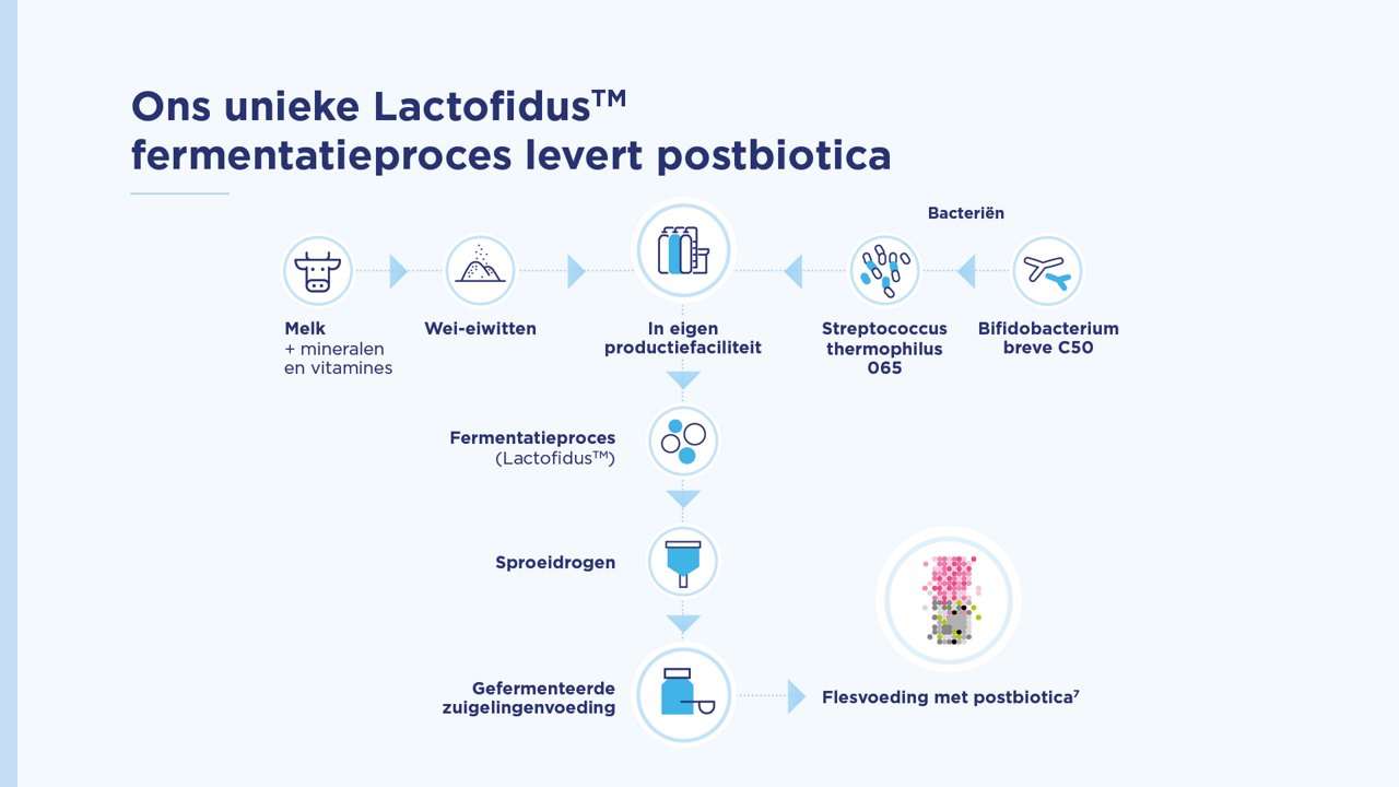 Schema van het Lactofidus-fermentatieproces dat postbiotica produceert voor gefermenteerde zuigelingenvoeding