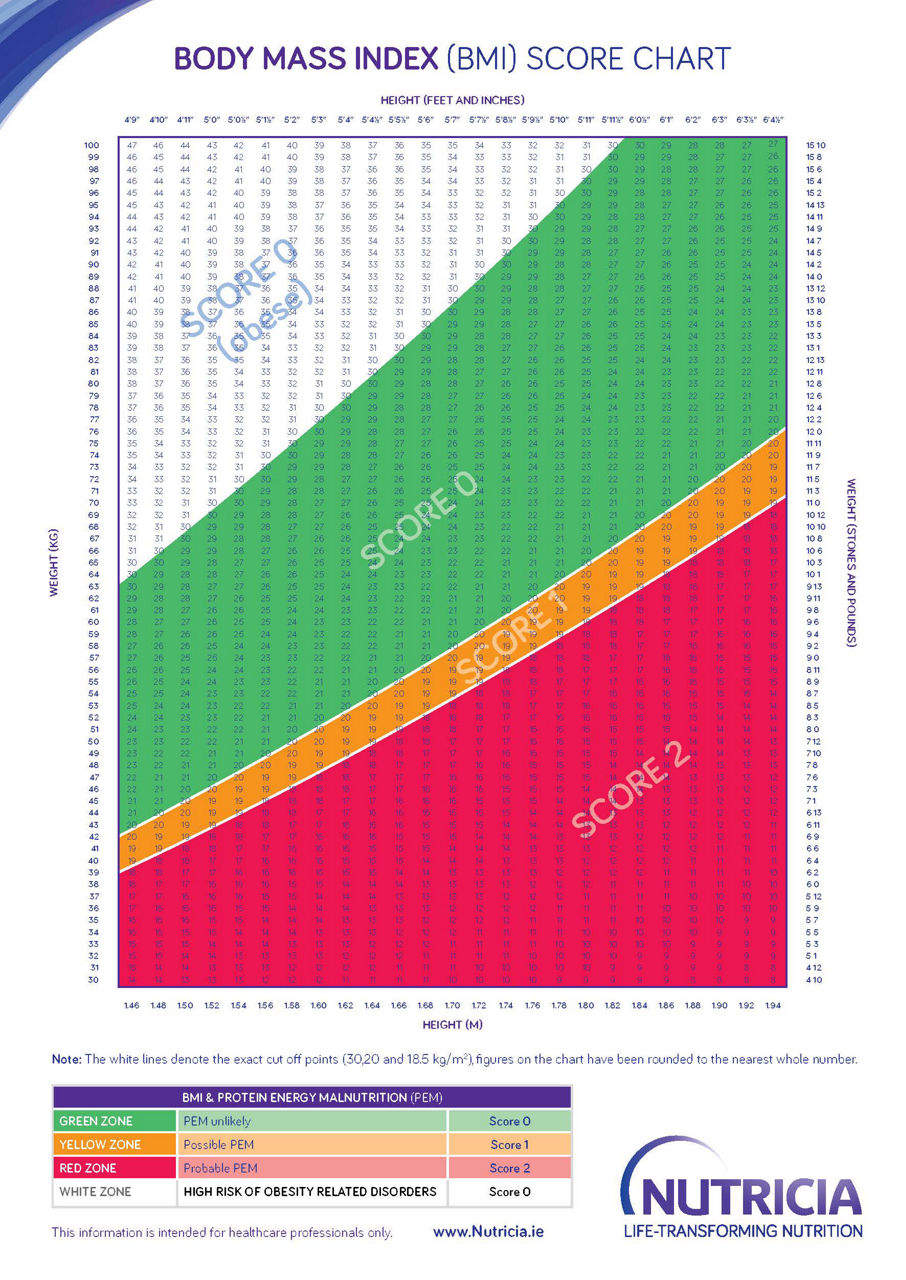 BMI Score Chart