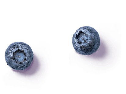 Two fresh blueberries with colorful shadows