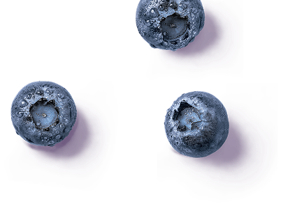 Fresh blueberries isolated on purple background