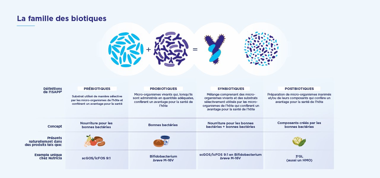 Infographie sur les prébiotiques, probiotiques, synbiotiques et postbiotiques du microbiote intestinal du nourrisson.