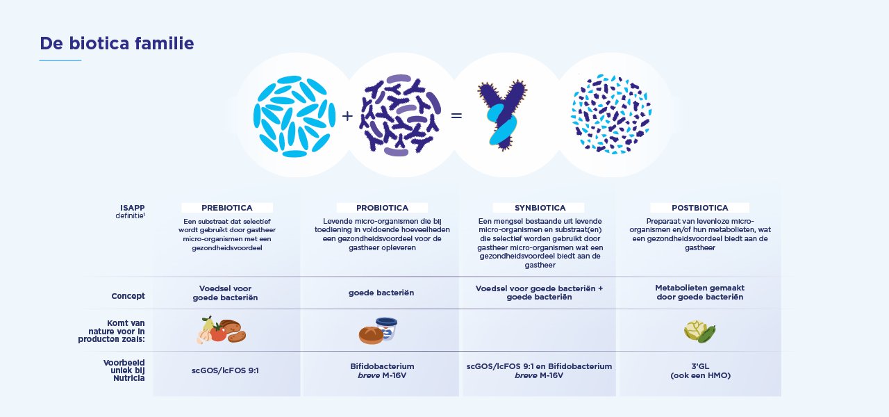 Infographic over prebiotica, probiotica, synbiotica en postbiotica en hun rol in de darm.