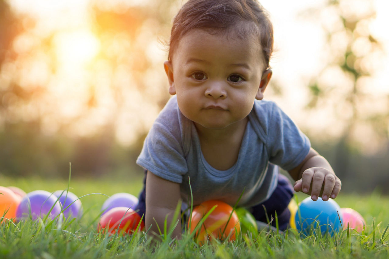 Cute asian baby crawling in the green grass and colorful ball - Sunset filter effect; Shutterstock ID 380749360; purchase_order: 4503446214; job: ; client: ; other: 
