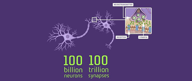 Illustration of brain synapses 