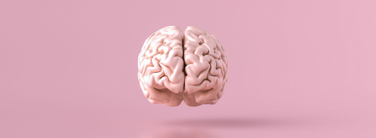 Brain on a pink background 