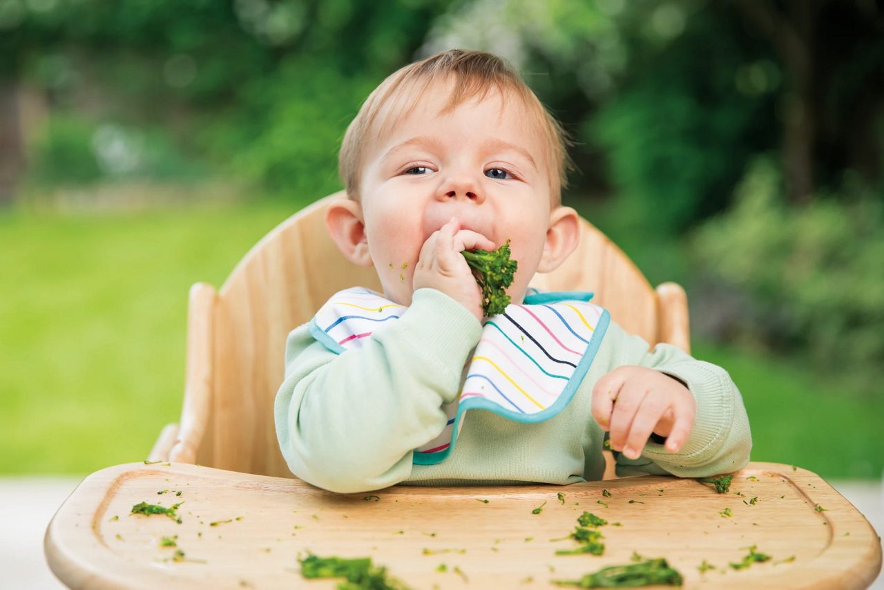 baby eating brocoly