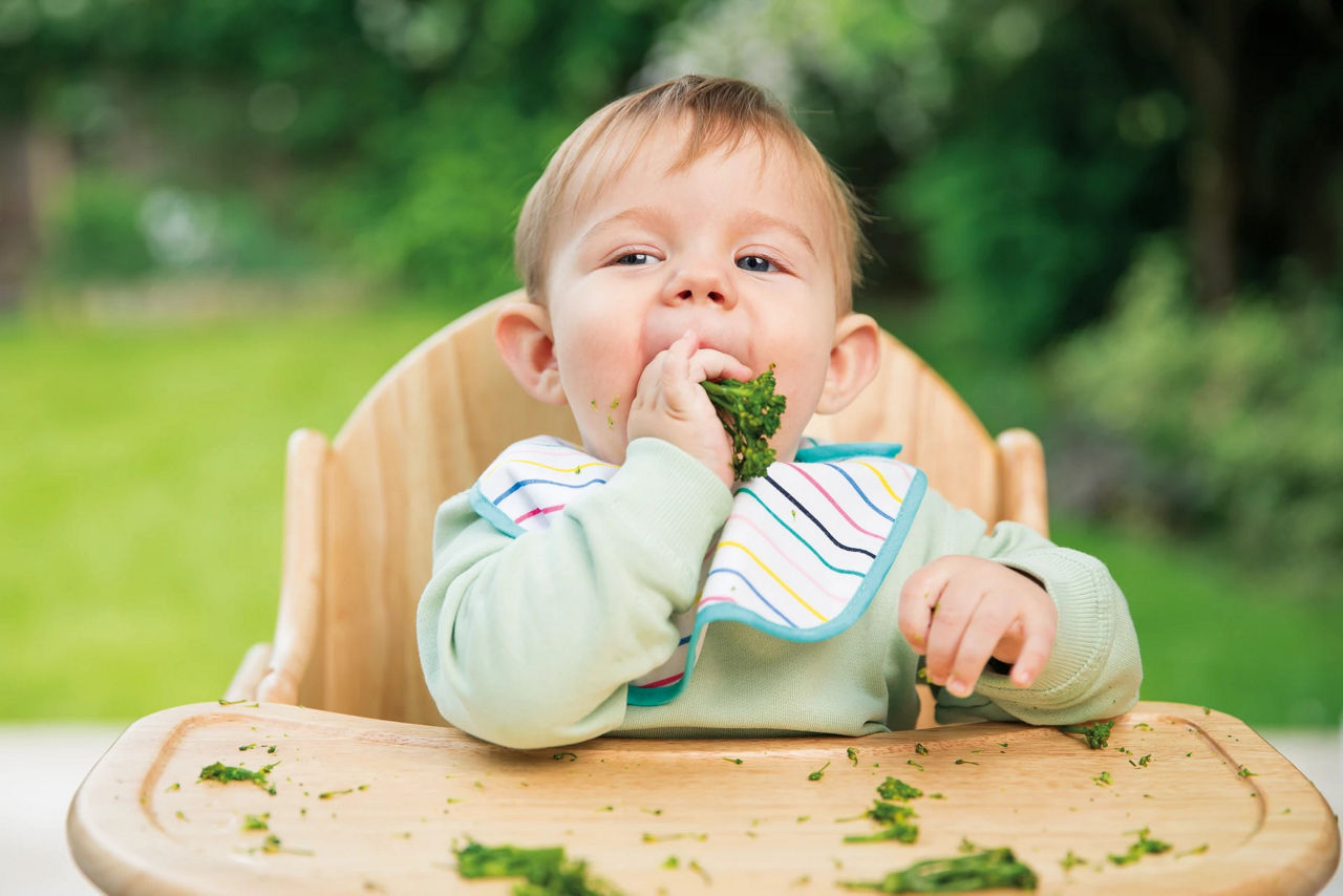 Baby eating broccoli
