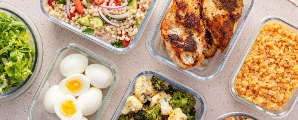 Food rich in Protein during the Cancercare treatment