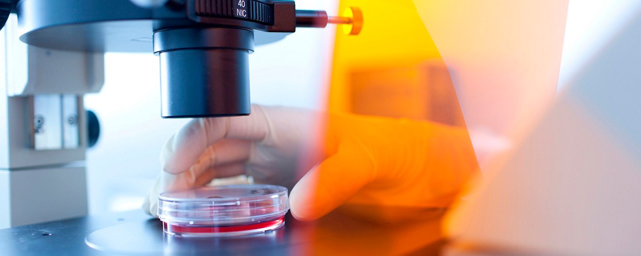 Studio del microbiota e microbioma intestinale