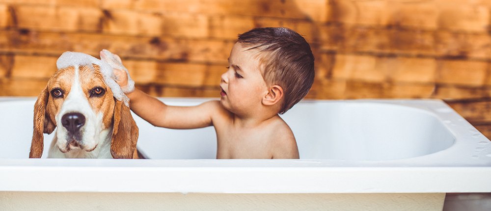 Enfant lave son chien dans la bain