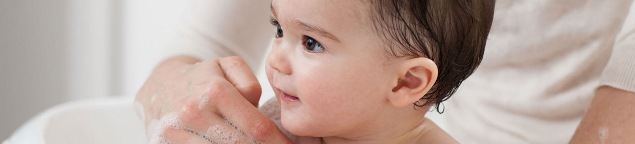 Oysters In Pregnancy