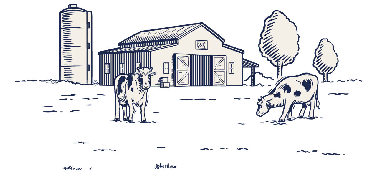 farm ilustration