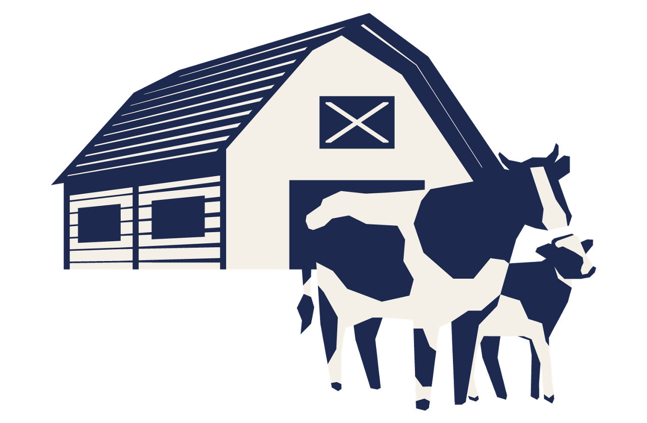 cow calf barn illustration