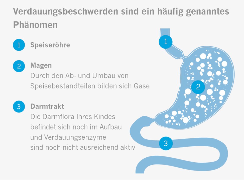 DACH_Aptamil_Verdauungsbeschwerden_Darm_Grafik