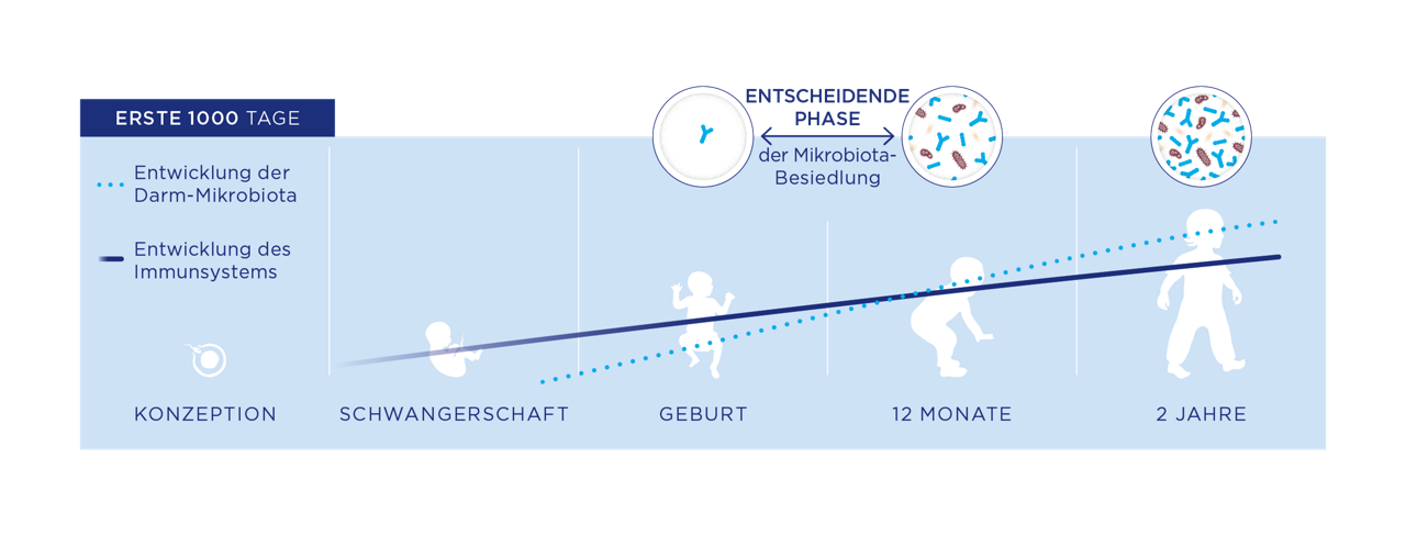 Saeuglingsernaehrung und Darm-Mikrobiota Grafik