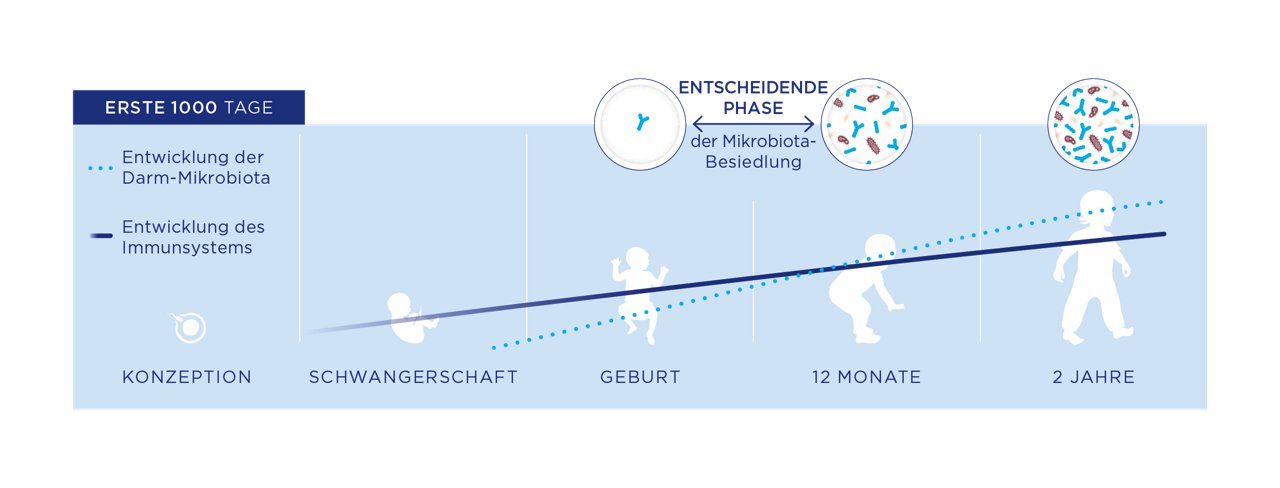 Saeuglingsernaehrung und Darm-Mikrobiota Grafik