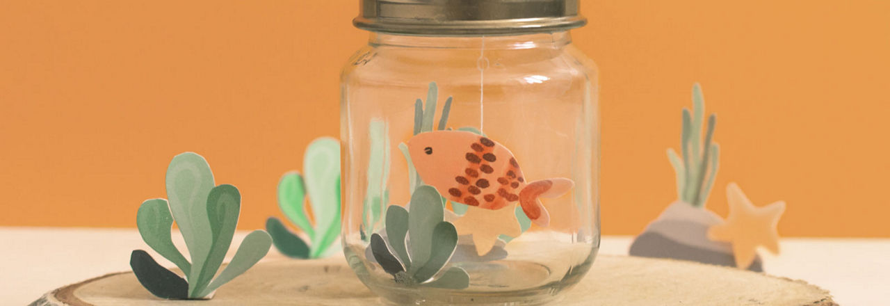 Oysters In Pregnancy