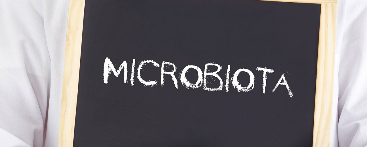 Microbiota intestinale