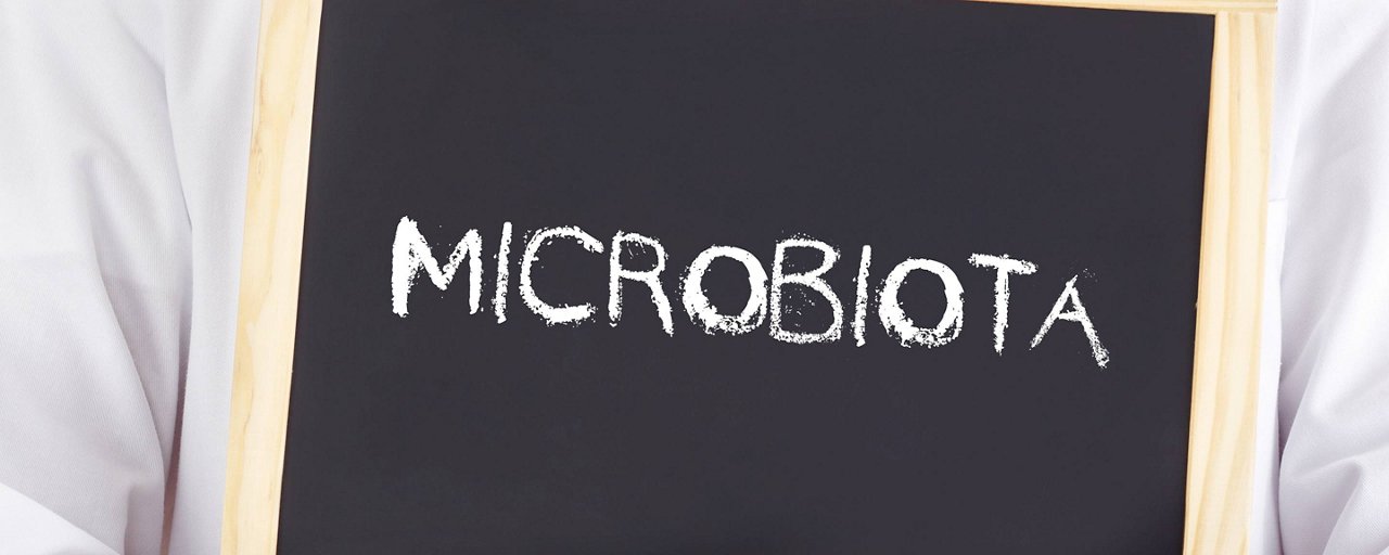 Microbiota intestinale