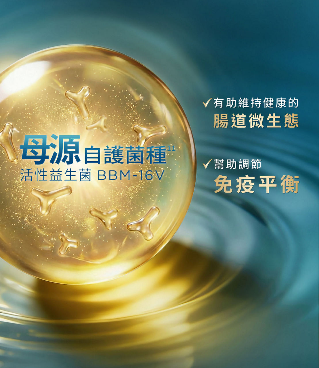 有助維持健康的腸道微生態；幫助調節免疫平衡（母源自護菌種，活性益生菌 BBM-16V）