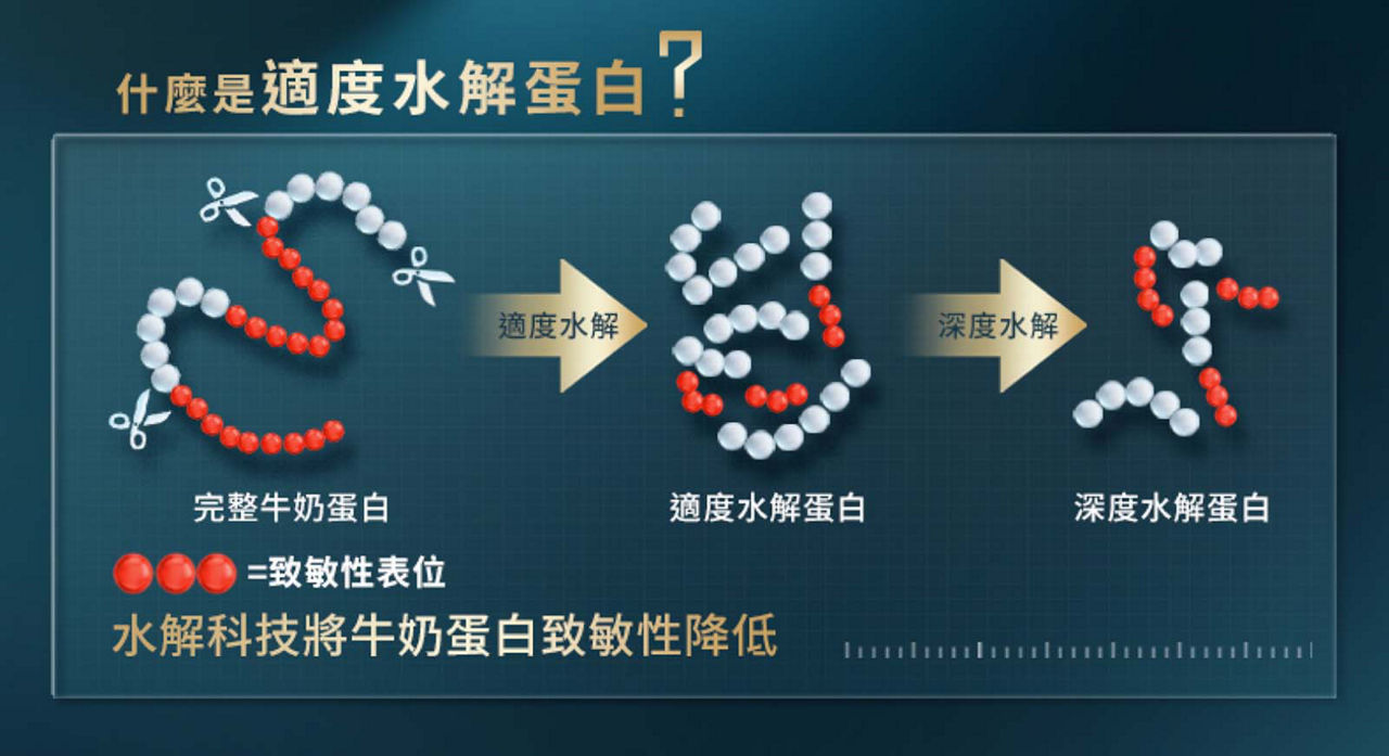 什麼是適度水解蛋白？完整牛奶蛋白（適度水解）適度水解蛋白（深度水解）深度水解蛋白；水解科技將牛奶蛋白致敏性降低