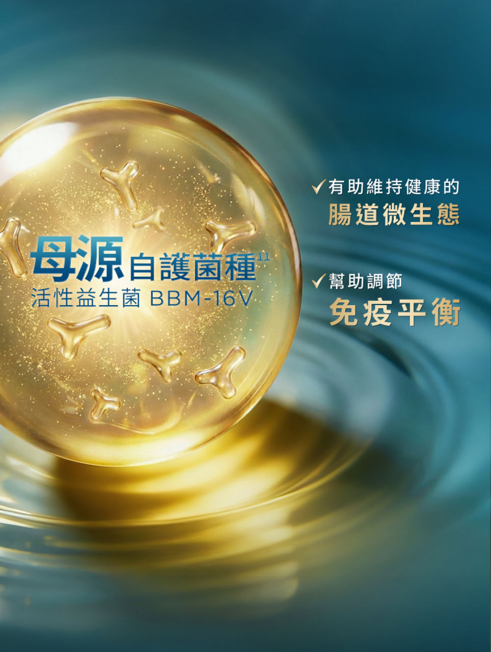 有助維持健康的腸道微生態；幫助調節免疫平衡（母源自護菌種，活性益生菌 BBM-16V）