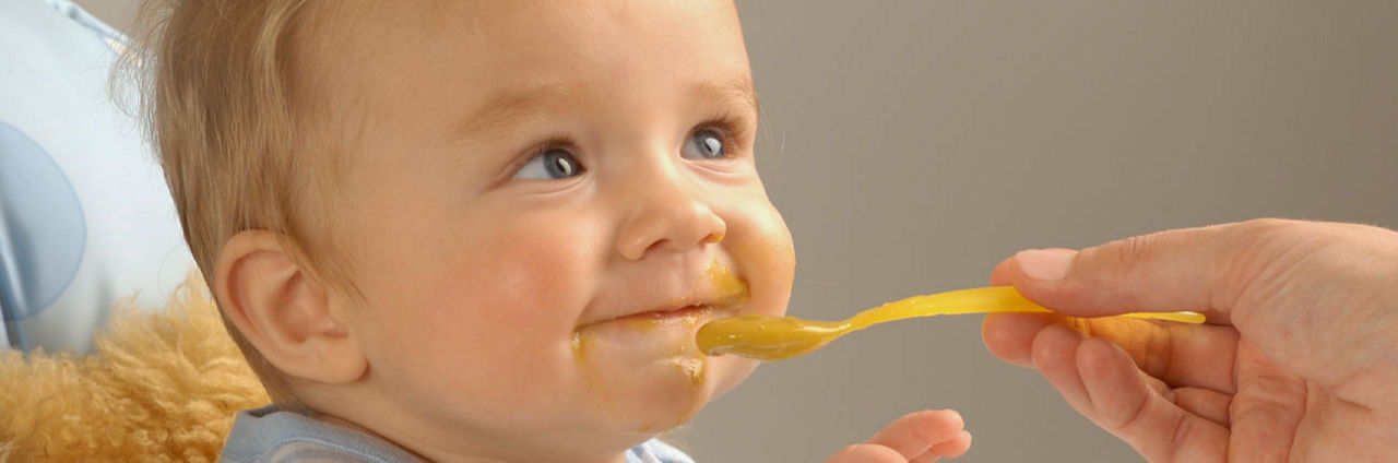 Oysters In Pregnancy