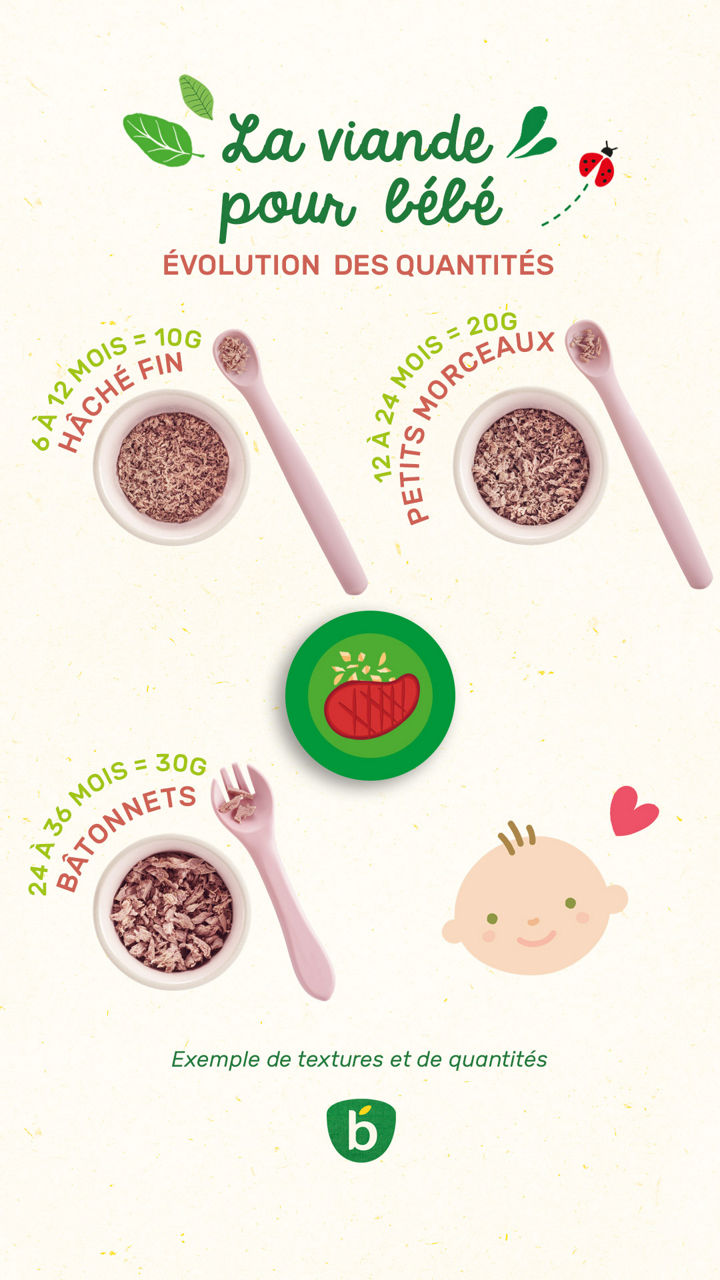 Guide sur la texture et la quantite des aliments pour bebes
