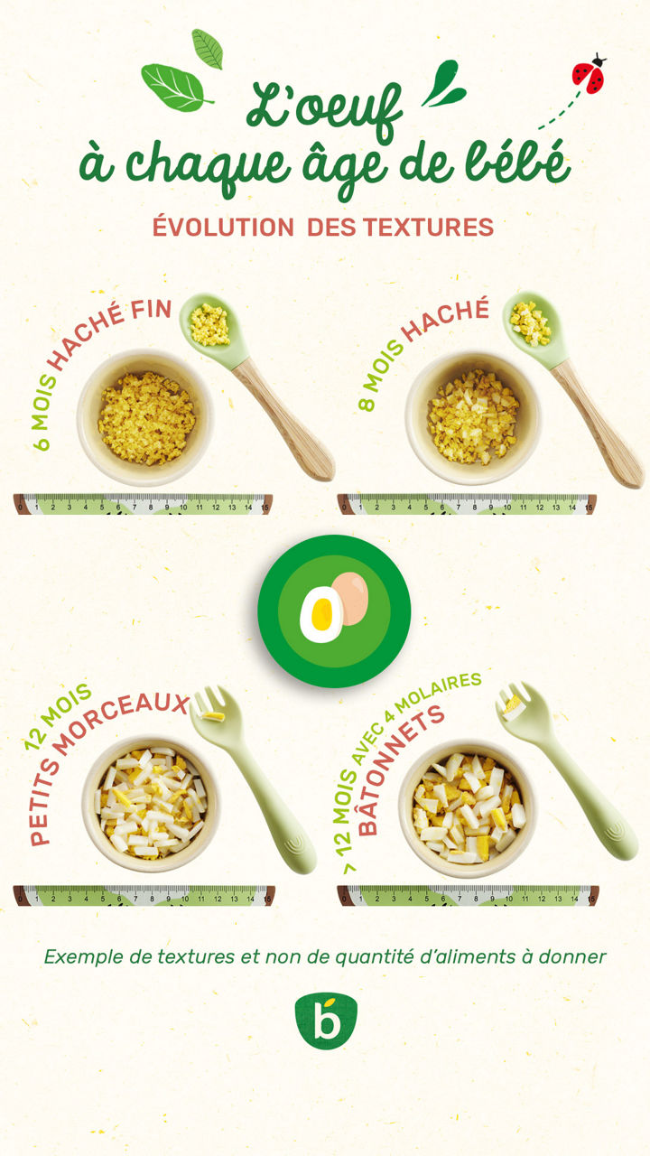 Guide sur l'evolution de la texture des aliments pour bebes