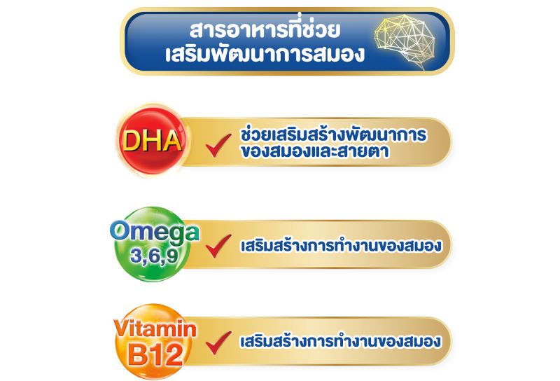 สารอาหารพัฒนาสมอง, เสริมสร้างพัฒนาการทางสมอง, DHA, Omega 3 6 9, Vitamin B12, สมองเด็ก, สมอง, บำรุงสายตา 