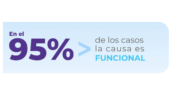 infografia 95% de los casos la causa es funcional