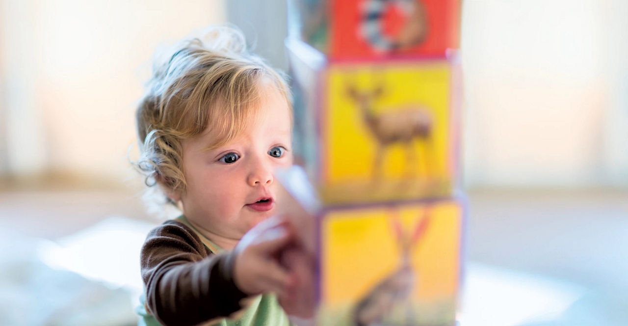 Toddler feeding