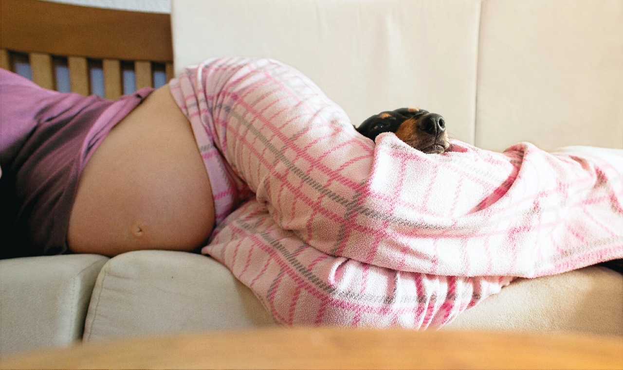 pregnant woman with dog