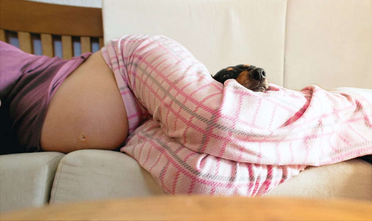 pregnant woman with dog