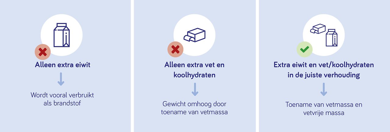 Balans van eiwitten, vetten en koolhydraten voor gezonde gewichtstoename