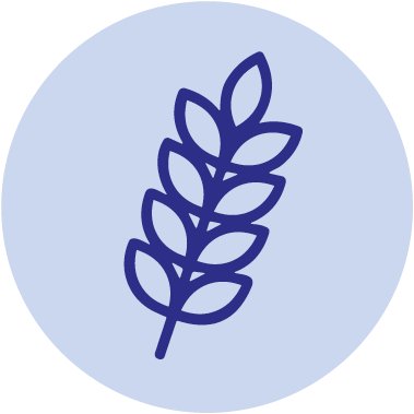 Koolhydraten icon