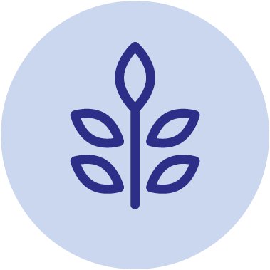 Vezel icon