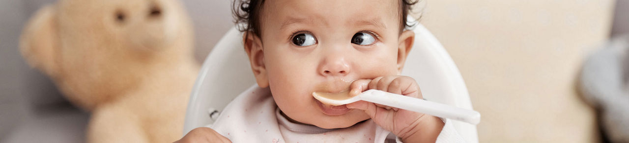 Oysters In Pregnancy