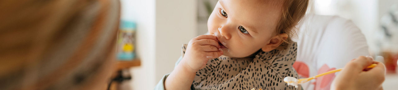 Oysters In Pregnancy