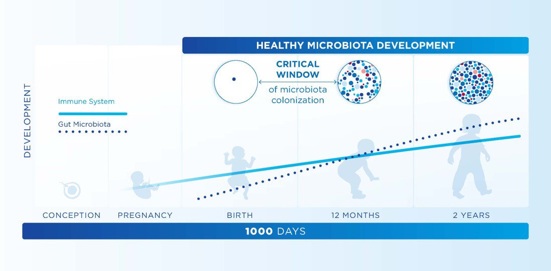 Healthy Microbiota Development