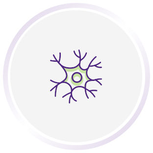 Illustration of a neuron