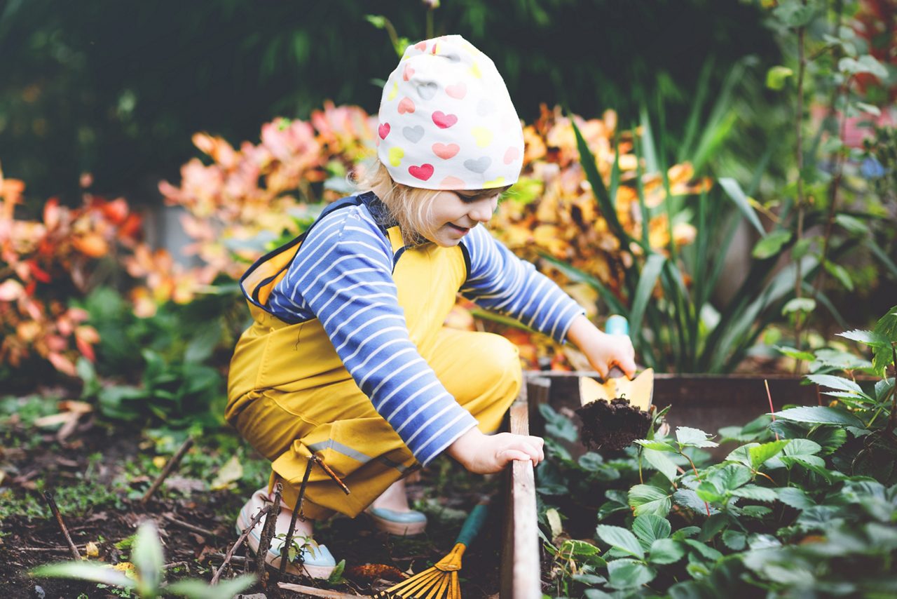 Kind in de moestuin plant groenten en leert over natuur, tuinieren en gezonde voeding.