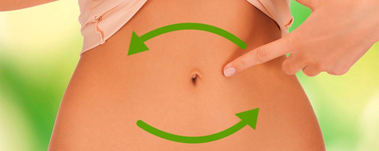 Anatomia dell'intestino tenue e crasso