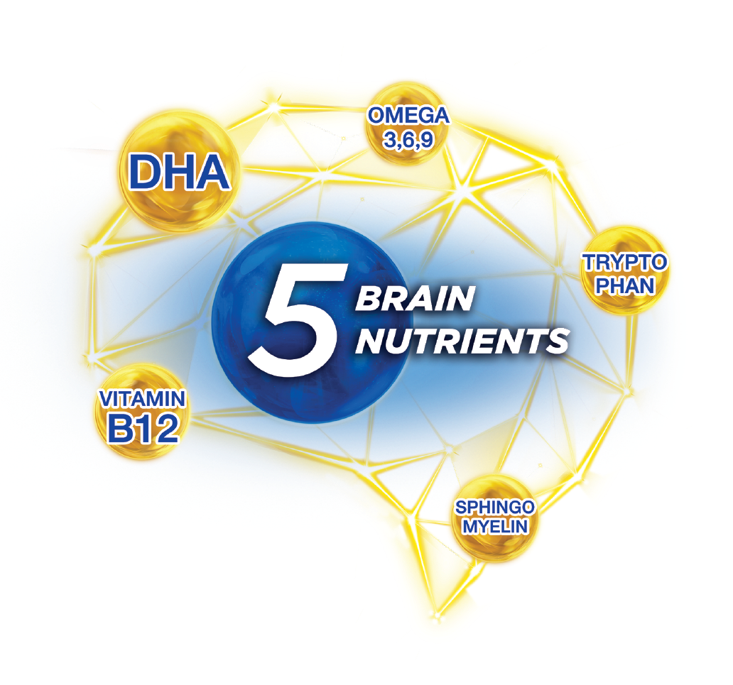 5-brain-nutrients