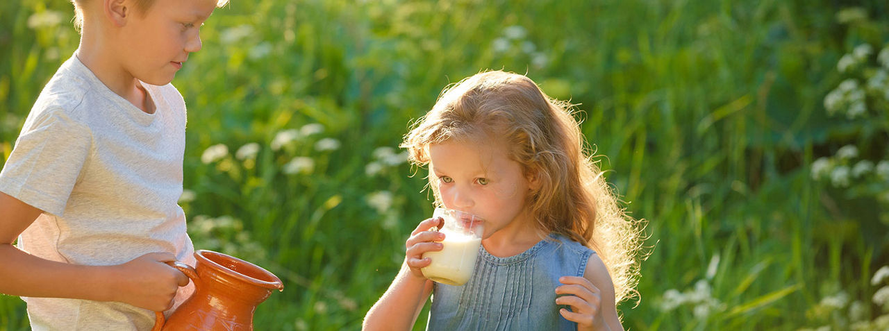 what is a2 protein milk