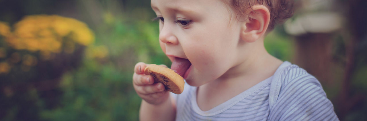 Oysters In Pregnancy