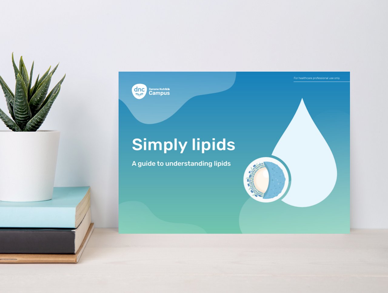 Simply biotics: A guide to understanding biotics