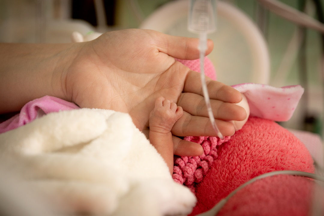 Premature newborn baby incubator ICU